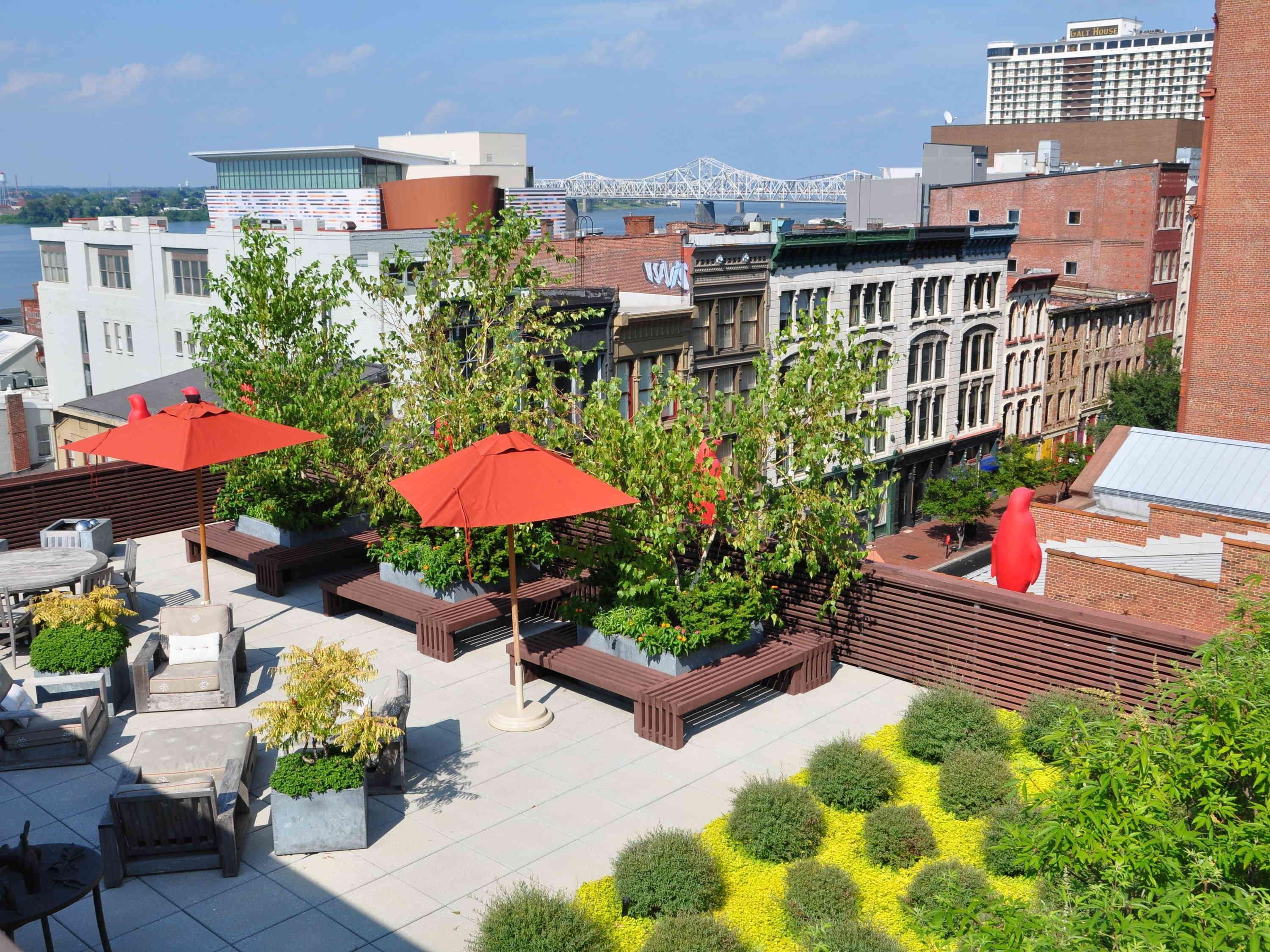 21c Museum Louisville